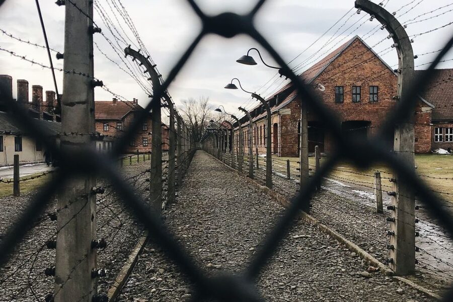 Krakow: Auschwitz-Birkenau Tour Limited to 15 Visitors - Price and Value: When Paying More Saves Your Day