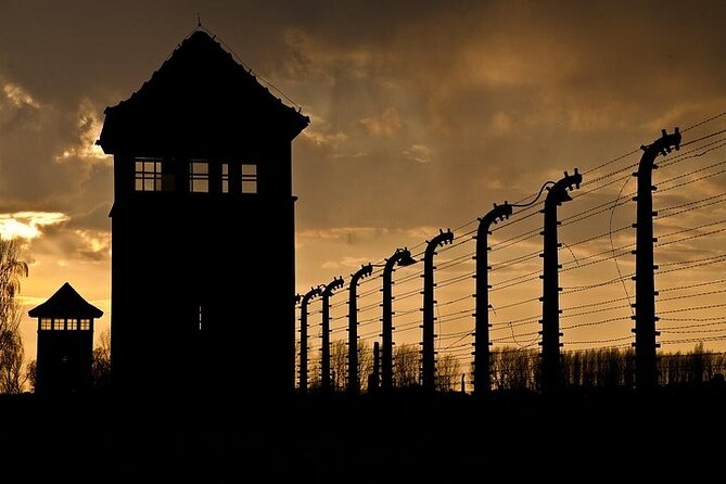 Krakow: Auschwitz-Birkenau Tour & Museum Expert Guide - Brzezinka (Birkenau): the lecture changes, and the scale hits