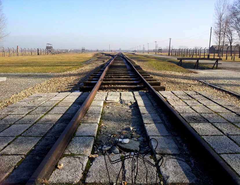 Krakow: Auschwitz-Birkenau & Wieliczka Salt Mine with Lunch - Pace and Walking Load: How to Stay Comfortable