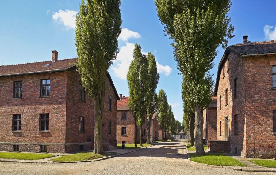Krakow: Auschwitz Guided Tour with Optional Hotel Pickup - Price That Includes Tickets, Guide, and Round-Trip Transport