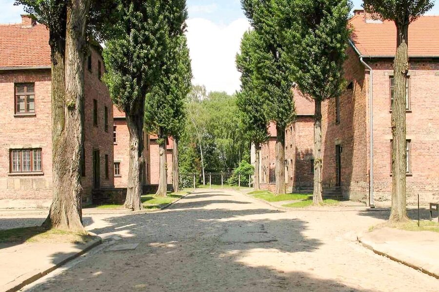Krakow: Auschwitz & Wieliczka Salt Mine Guided Day Tour - Guides and group size: why this format usually works