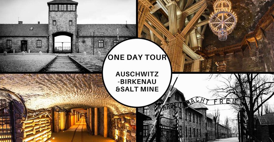 Krakow: Full-Day Auschwitz-Birkenau & Salt Mine Guided Tour - Quick hits before you go