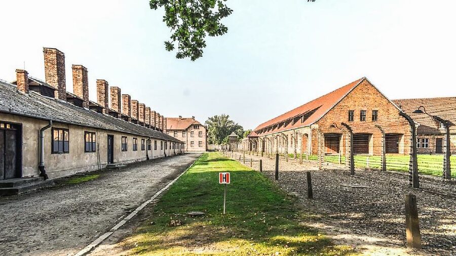 Krakow: Full-Day Auschwitz-Birkenau & Salt Mine Guided Tour - The human factor: guides, drivers, and communication