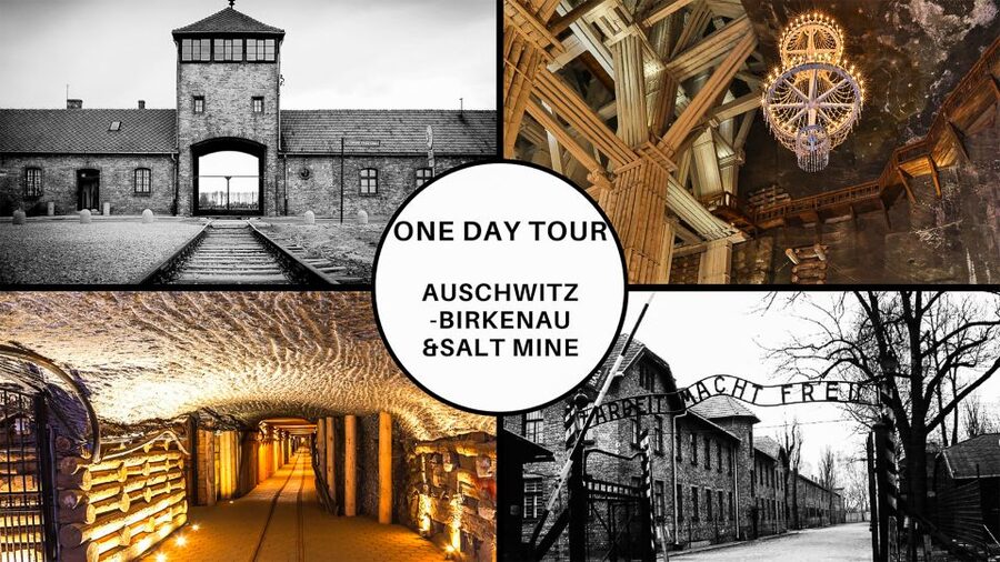 Krakow: Full-Day Auschwitz-Birkenau & Salt Mine Guided Tour - A day that moves: Auschwitz in the morning, Wieliczka after