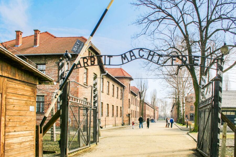 Krakow: Full-Day Auschwitz-Birkenau & Salt Mine Guided Tour - Auschwitz-Birkenau: what that guided time is really for