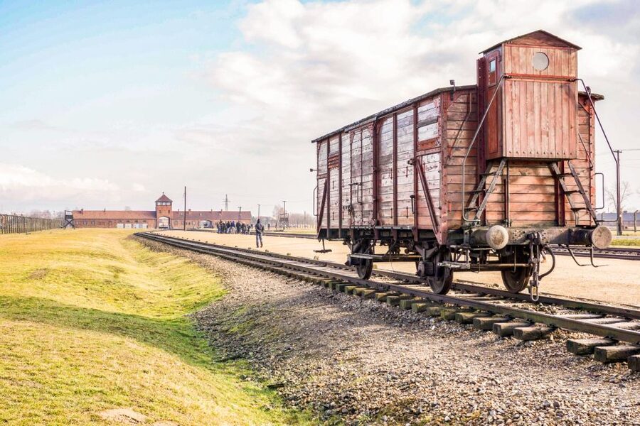 Krakow: Full-Day Auschwitz-Birkenau & Salt Mine Guided Tour - Lunch, timing, and how to avoid the snack trap