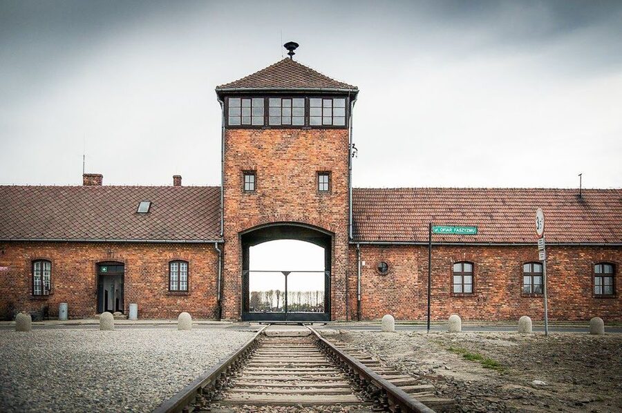 Krakow: Full-Day Auschwitz-Birkenau & Salt Mine Guided Tour - Who this tour is best for (and who should rethink it)