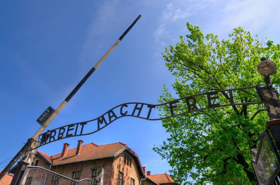 Krakow: Guided Auschwitz Birkenau Tour - Timings and the pace: the day is long, and it moves with purpose