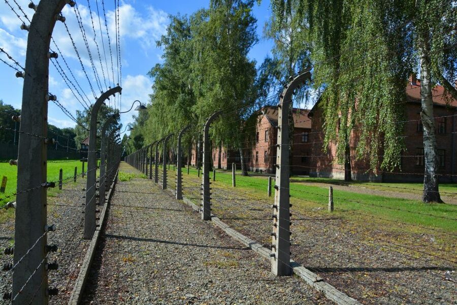 Krakow: Guided Auschwitz Birkenau Tour - Skip-the-line entry, but still expect security and waits