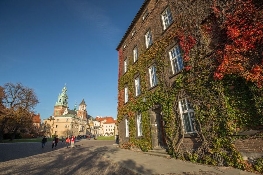 Krakow: Guided Wawel Tour, Lunch, and Vistula River Cruise - Who this tour fits best in Krakow