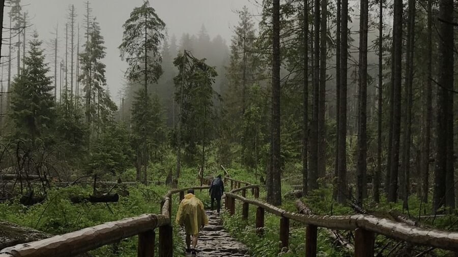 Krakow: Hiking Adventure in Tatra Mountains & Thermal Baths - Why the Tatra hike plus Termy Bukovina pairing makes sense