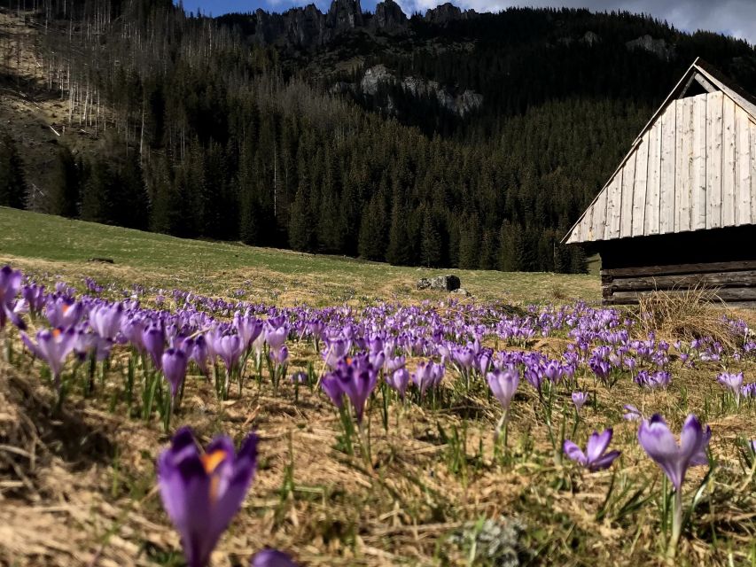 Krakow: Hiking Adventure in Tatra Mountains & Thermal Baths - Should you book this Krakow hiking adventure with thermal baths?