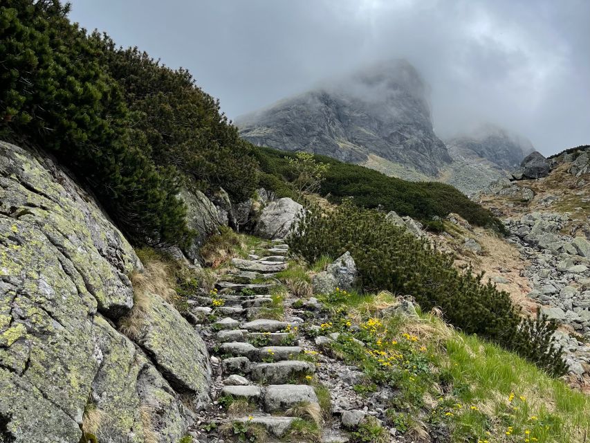 Krakow: Hiking Adventure in Tatra Mountains & Thermal Baths - Termy Bukovina: how the thermal pools feel after the trails