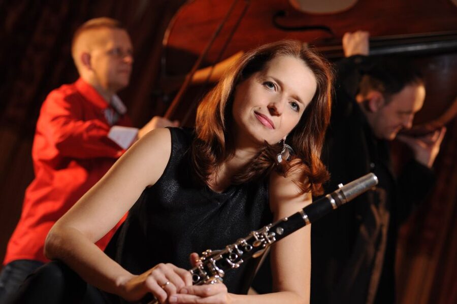 Krakow: Jewish-Style Klezmer Music Concert - Who This Concert Suits Best
