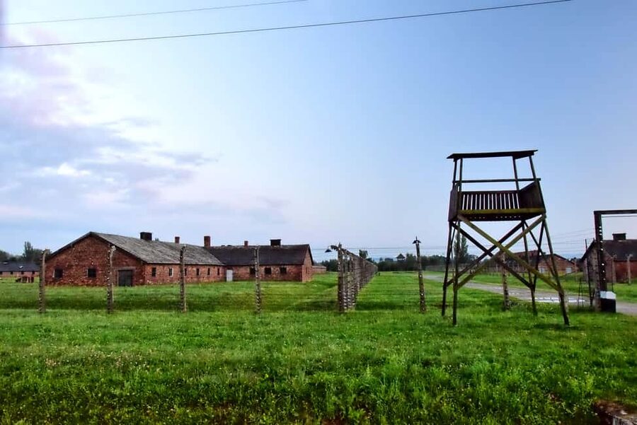 Krakow: Last Minute Auschwitz-Birkenau Guided Tour - Key highlights you will feel right away