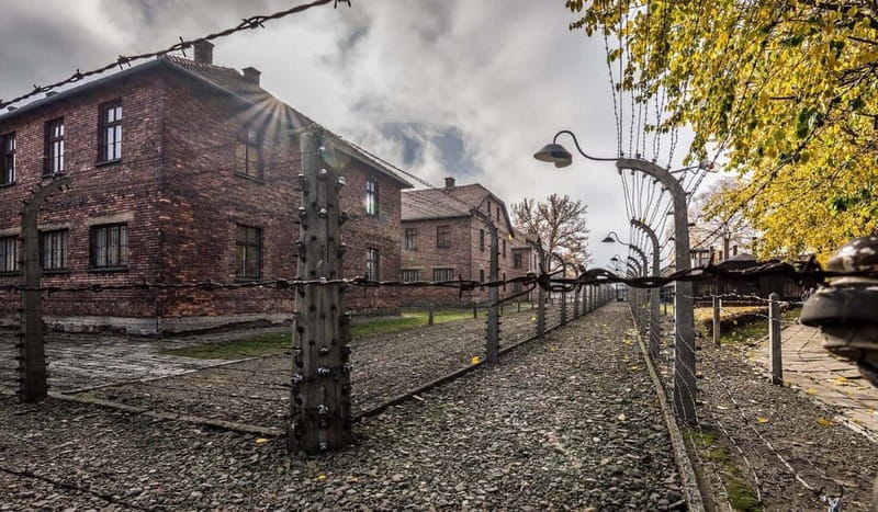 Krakow: Last Minute Auschwitz-Birkenau Guided Tour - Entering the memorial: tickets, lines, and what to prepare