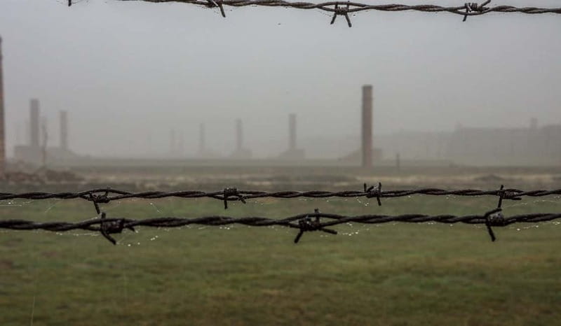 Krakow: Last Minute Auschwitz-Birkenau Guided Tour - Auschwitz II-Birkenau: the biggest site, your final guided hour
