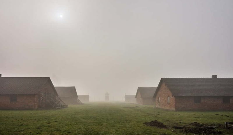Krakow: Last Minute Auschwitz-Birkenau Guided Tour - Price, timing, and what you truly get for $80