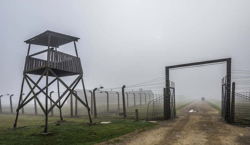 Krakow: Last Minute Auschwitz-Birkenau Guided Tour - What to pack for a smooth Auschwitz day (and a calmer mind)