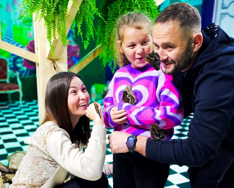 Krakow: Museum of Living Butterflies 2+1 - Key things you will notice right away