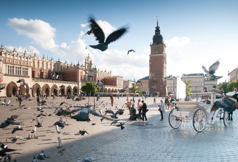 Krakow: Old Town Private Guided Walking Tour - Florianska Street to Main Market Square, Where Power and Everyday Life Meet