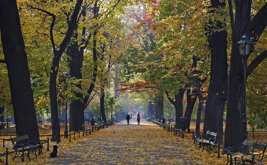 Krakow: Old Town "Royal Route" Walking Tour - Why the Royal Route is a smart way to see Krakow
