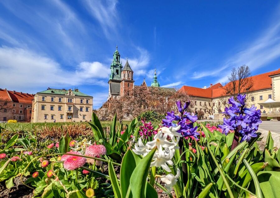 Kraków: Old Town & Wawel Castle Walking Tour in English - The Wawel Dragon: a legend that turns into local identity