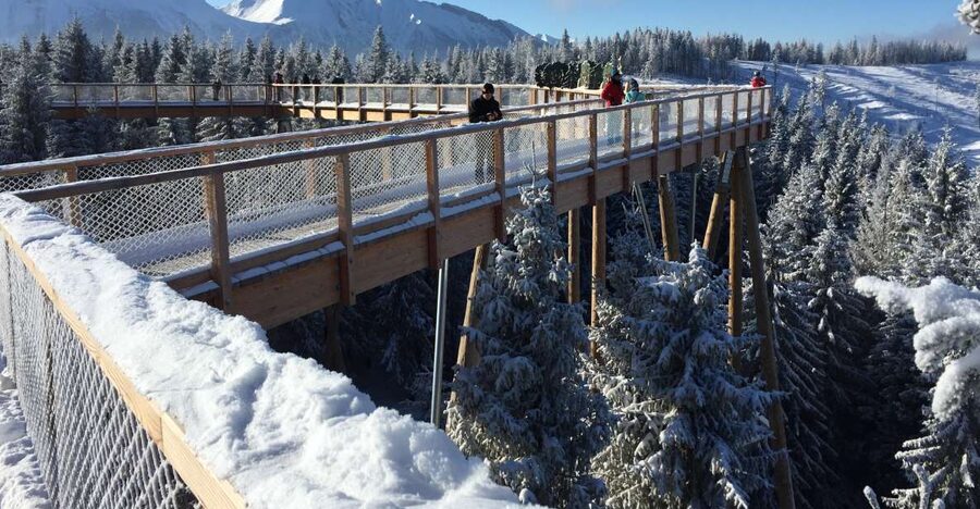 Krakow: Slovakia Treetop Walk & Zakopane Tour (Hotel Pickup) - 11 Hours From Krakow: How the Day Flows