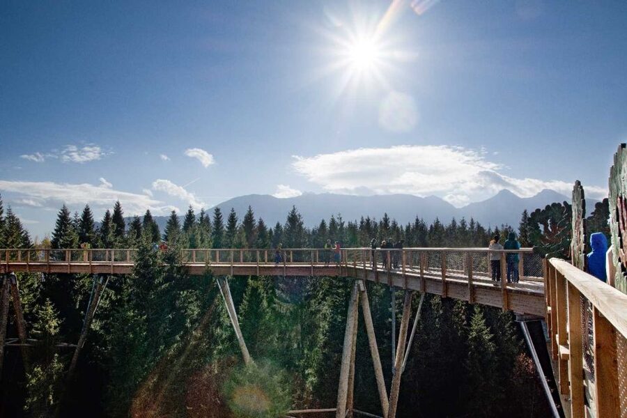 Krakow: Slovakia Treetop Walk & Zakopane Tour (Hotel Pickup) - The Zdiar Treetop Walk: The View Is the Point