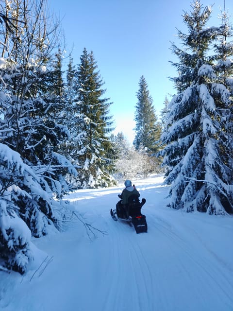 Krakow: Snowmobile & Thermal Baths Zakopane Full Day Tour - Price and value, including the snowmobile rental math