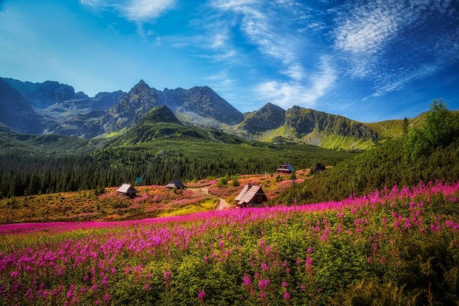 Krakow: Tatra Mountains and Zakopane Full-Day Private Tour - Key highlights at a glance