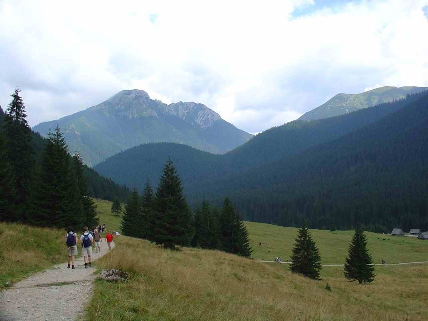 Krakow: Tatra Mountains and Zakopane Full-Day Private Tour - Krupówki Street, crafts, and the rhythm of town life