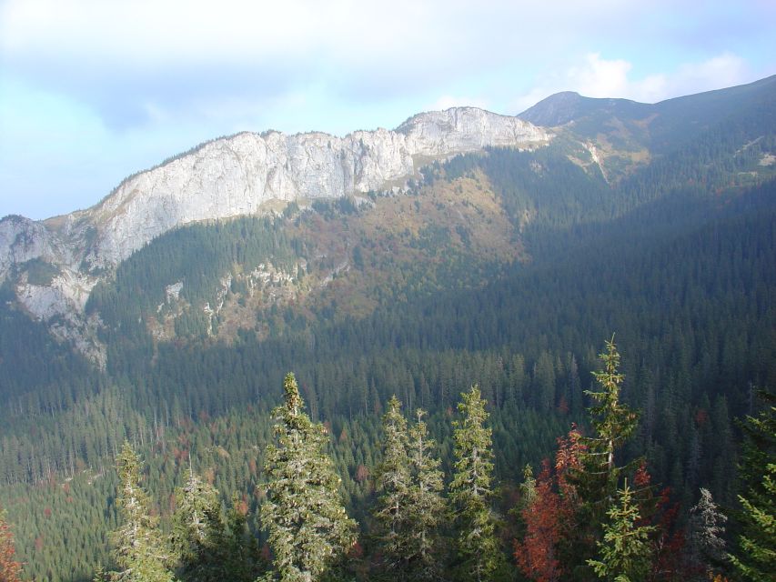 Krakow: Tatra Mountains and Zakopane Full-Day Private Tour - Price and value for a $70 private day