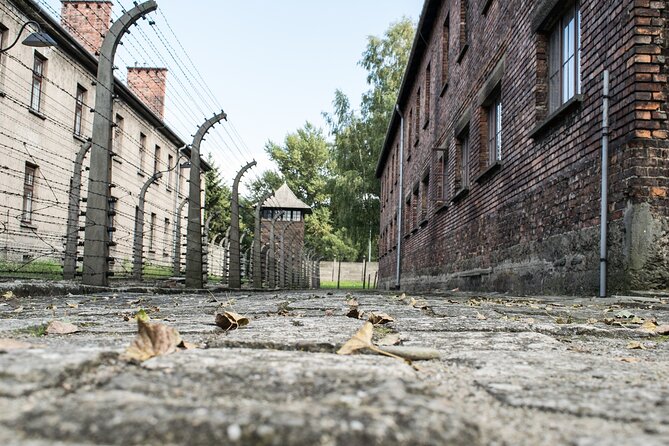 Krakow to Auschwitz Birkenau Guided Tour with Ticket and Transfer - Krakow to Auschwitz, why this day starts so early