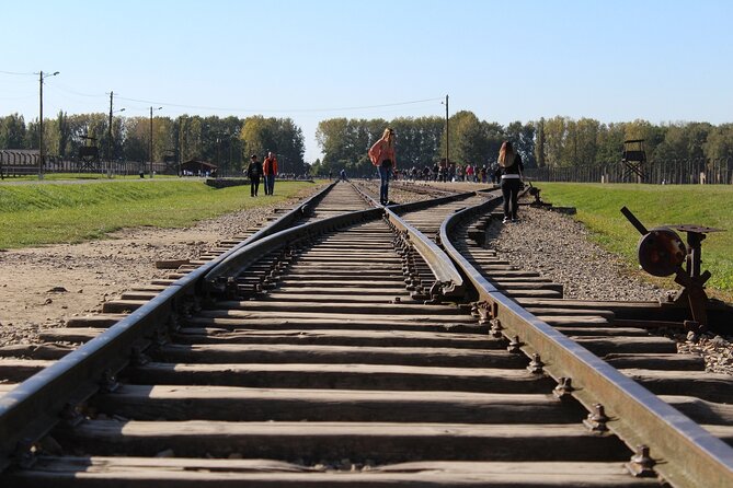 Krakow to Auschwitz-Birkenau: Private Round-Trip Experience - The Driver’s Role: Helpful, but Not Inside the Exhibits