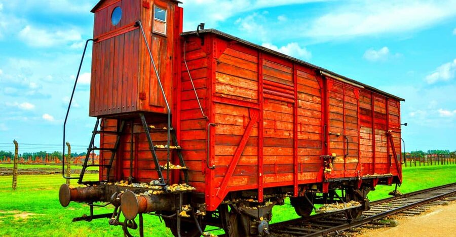 Krakow: Wieliczka Salt Mine and Auschwitz-Birkenau Tour - Auschwitz-Birkenau in a day tour: what you will actually see