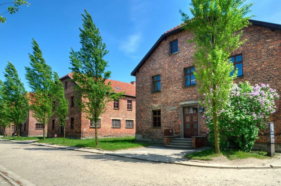 Krakow: Wieliczka Salt Mine and Auschwitz-Birkenau Tour - How the 12-hour schedule works (and where it can feel tight)