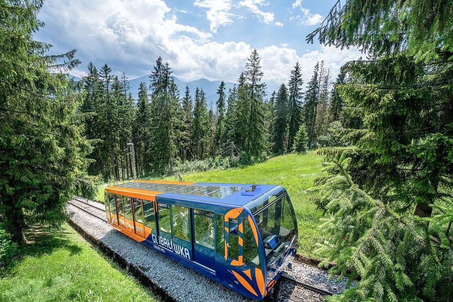 Krakow: Zakopane Day Tour with Optional Thermal Baths - Kościelisko cheese and vodka tasting, a local stop that sticks