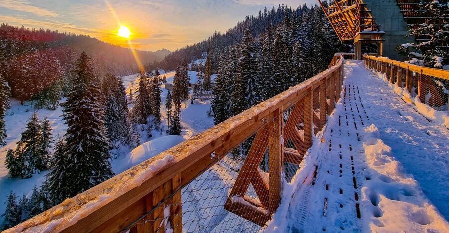Krakow: Zakopane, Thermal Baths and Gorce Park Treetop Walk - From Krakow to the treetops, in one smooth day
