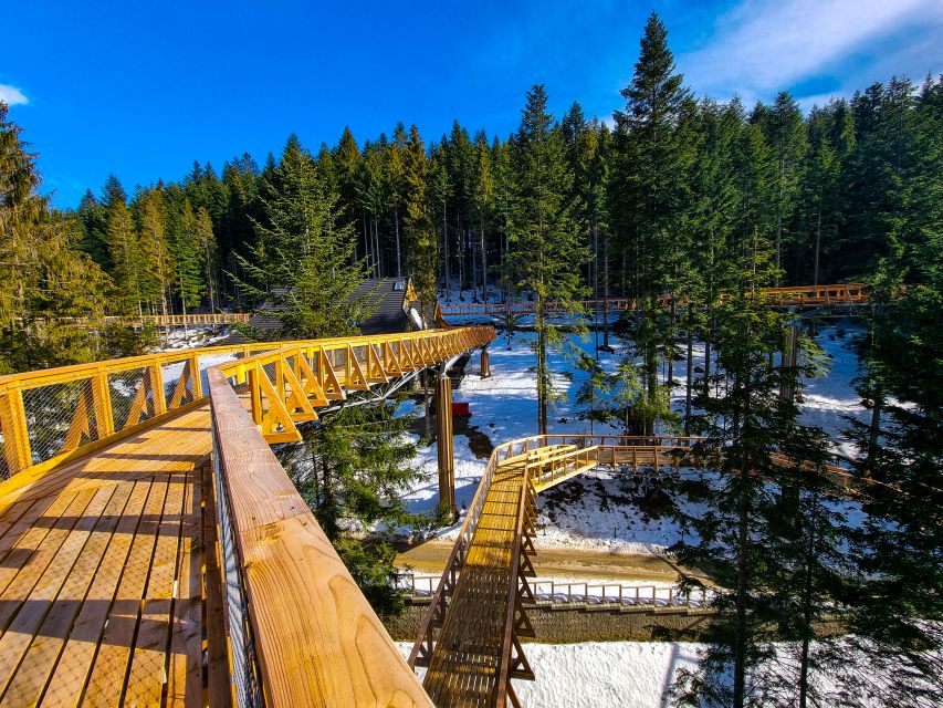 Krakow: Zakopane, Thermal Baths and Gorce Park Treetop Walk - Who this tour fits best