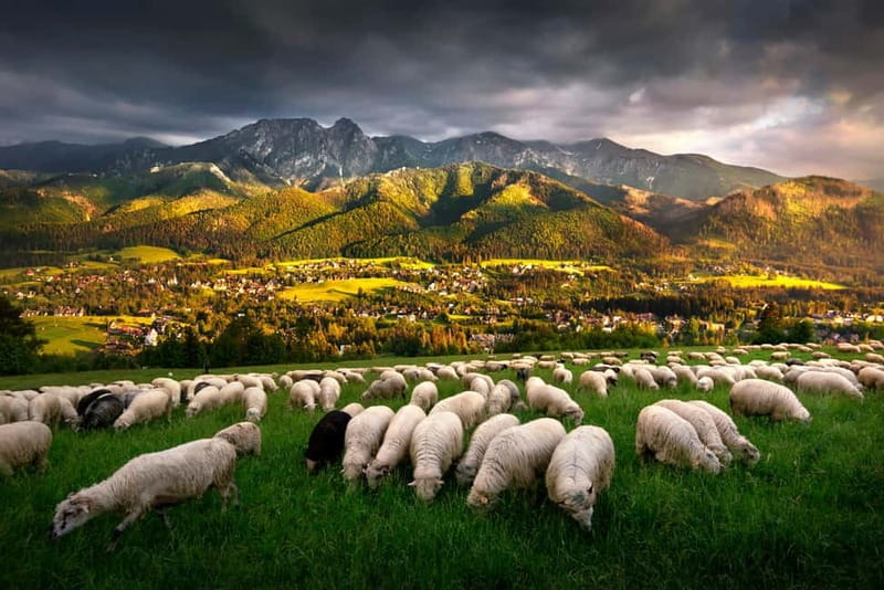 Krakow: Zakopane Trip with Thermal Pools & Hotel Pick-up - Key things to know before you go