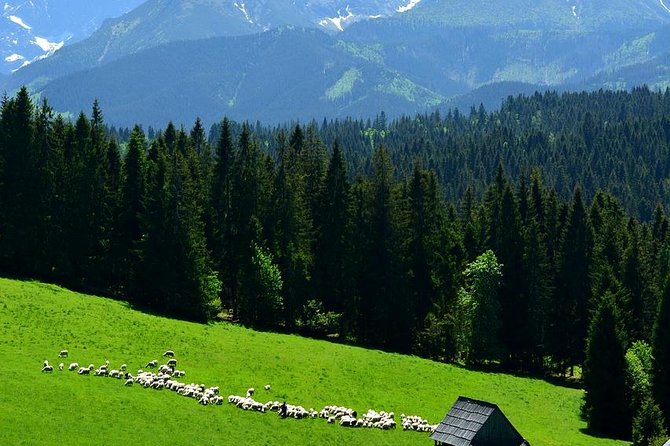 Krakow: Zakopane with Thermal Baths, Cable Car & Hotel Pickup - Chocholowskie Termy thermal pools: the reward stop after sightseeing