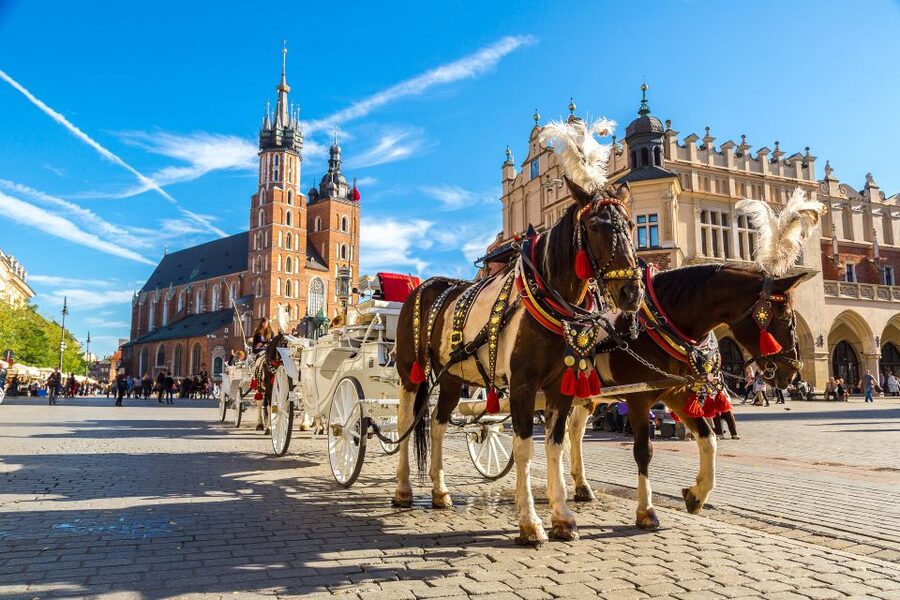 Krakow: Zoo Tour with Private Transport and Tickets - A realistic 3-hour plan: how to pace yourself