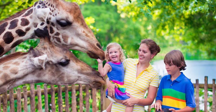 Krakow: Zoo Tour with Private Transport and Tickets - Price and value: when $94 per person makes sense