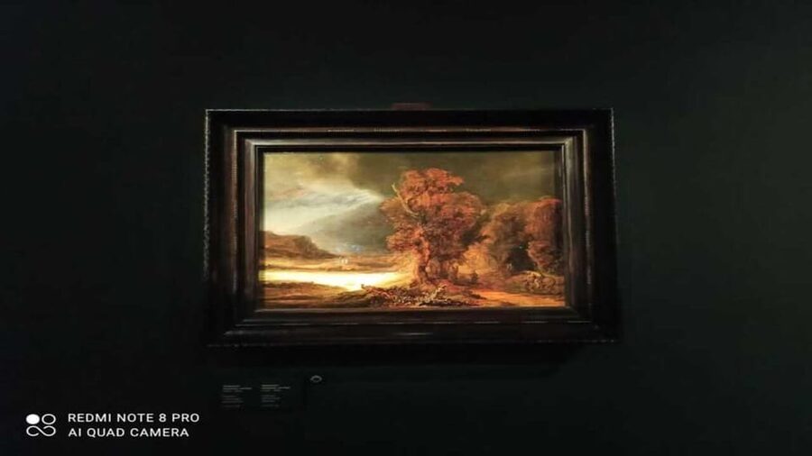 Museo Czartoryski: Visita in italiano e salta la fila - Key points that shape your visit