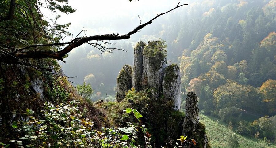 Ojcow National Park: Full-Day Trip from Krakow - A quick note on extra stops you might see
