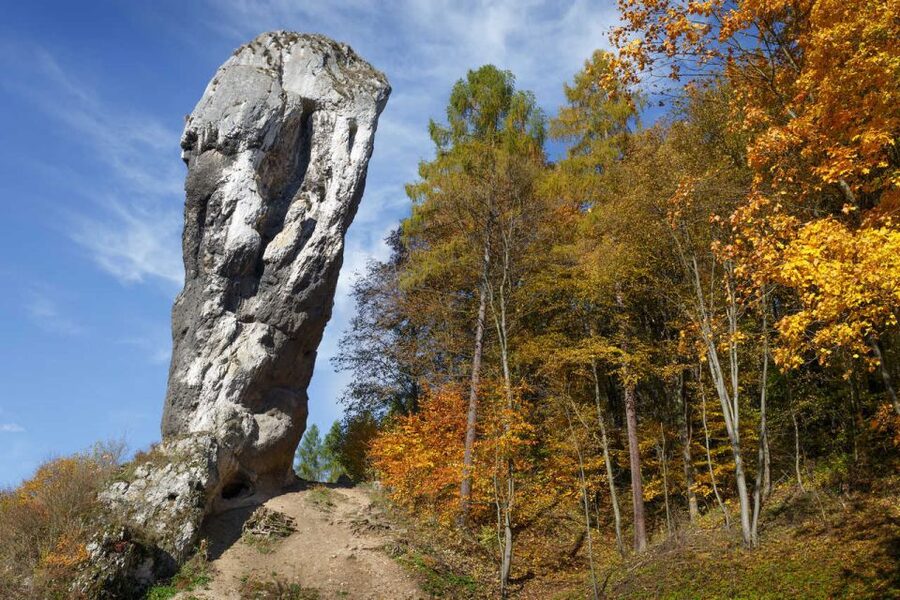 Ojcow National Park: Full-Day Trip from Krakow - Why the bundled price can be good value at $153 per person