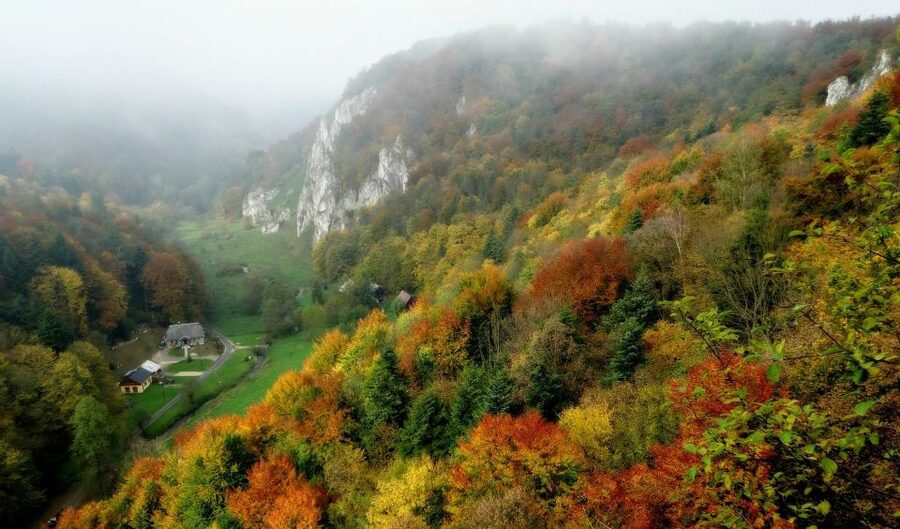 Ojcow National Park: Full-Day Trip from Krakow - Pacing, comfort, and who this tour suits best