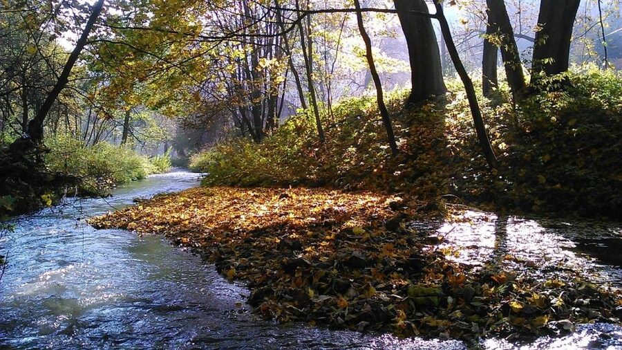 Ojcow National Park: Full-Day Trip from Krakow - Small-group feel, and why the guide can make or break the day