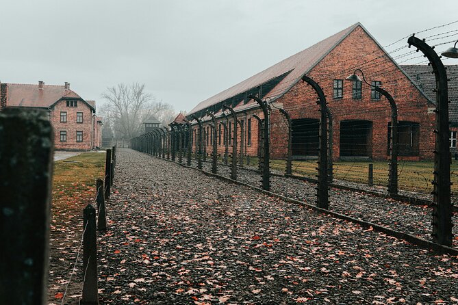Private Guided Tour Auschwitz Birkenau with Transport from Krakow - Pickup, vehicle comfort, and timing from Krakow